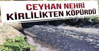 Ceyhan Nehri Kirlilikten Köpürdü