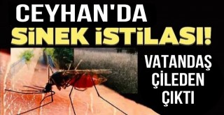 Ceyhanlı Vatandaşlar Çileden Çıktı!