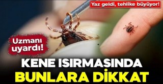 Yaz Geldi, Tehlike Büyüyor!