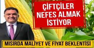 Mısırda Maliyet ve Fiyat Beklentisi