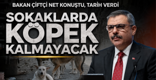 Başıboş sokak köpeği sorunu sona erecek